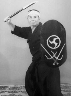 Taira Shinken