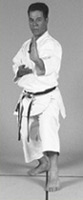 Karate stance side profile