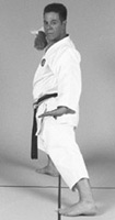 Karate stance front profile
