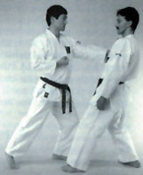 Shihan Keiji Tomiyama demo 2